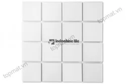 Gạch mosaic bể bơi Indochine TN TTC 5651