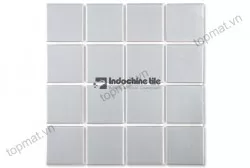 Gạch mosaic bể bơi Indochine TN TTC 6665