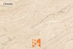 Gạch ốp tường TTC CB36006