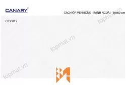 Gạch ốp tường TTC CB36015
