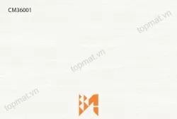 Gạch ốp tường TTC CM36001