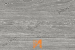 Gạch ốp tường TTC CM36004