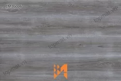 Gạch ốp tường TTC CM36006