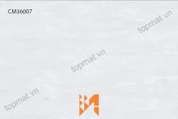 Gạch ốp tường TTC CM36007