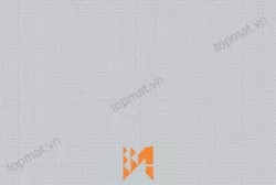 Gạch ốp tường TTC WB36012