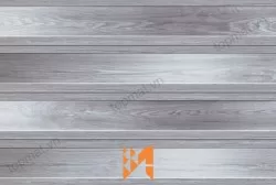 Gạch ốp tường TTC WB36054