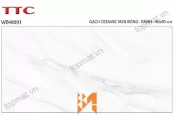 Gạch ốp tường TTC WB48001