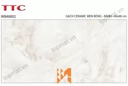 Gạch ốp tường TTC WB48002