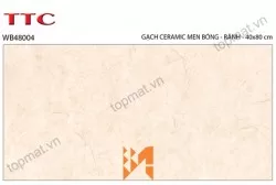 Gạch ốp tường TTC WB48004