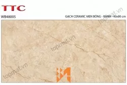 Gạch ốp tường TTC WB48005