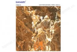 Gạch lát nền TTC PN88210