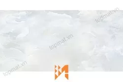 Gạch ốp tường Perfetto 1660