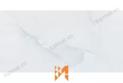 Gạch ốp tường Perfetto 1664