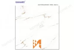 Gạch lát nền TTC PN66019