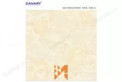 Gạch lát nền TTC PN66021