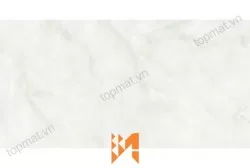 Gạch ốp tường Perfetto 1931