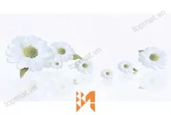 Gạch ốp tường Perfetto 3605