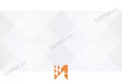 Gạch ốp tường Perfetto 3005