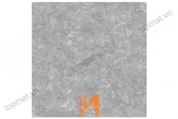 Gạch Prime lát nền KT 50x50cm MT-01.500500.02878