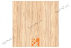 Gạch Prime lát nền KT 50x50cm MT-01.500500.07813