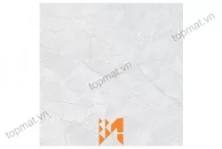Gạch Prime lát nền KT 50x50cm MT-01.500500.09474