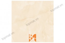 Gạch Prime lát nền KT 50x50cm MT-01.500500.09481