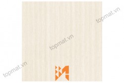 Gạch Prime lát nền KT 50x50cm MT-01.500500.09487