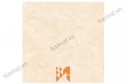 Gạch Prime lát nền KT 50x50cm MT-01.500500.02589