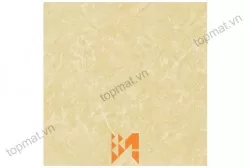 Gạch Prime lát nền KT 50x50cm MT-13.500500.02630