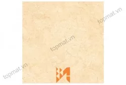 Gạch Prime lát nền KT 50x50cm MT-13.500500.09383