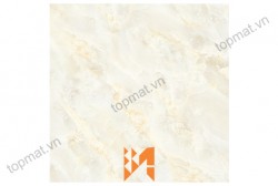 Gạch Prime lát nền KT 50x50cm MT-13.500500.01185