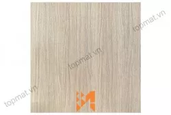 Gạch Prime lát nền KT 50x50cm MT-13.500500.01189