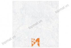 Gạch Prime lát nền KT 50x50cm MT-13.500500.01195