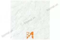 Gạch Prime lát nền KT 60x60cm MT-03.600600.09850