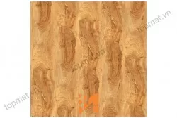 Gạch Prime lát nền KT 60x60cm MT-03.600600.09899