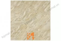 Gạch Prime lát nền KT 60x60cm MT-03.600600.09945
