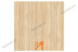 Gạch Prime lát nền KT 60x60cm MT-03.600600.12779