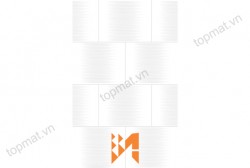 Gạch Prime ốp tường KT 250x400mm MT-05.250400.01006