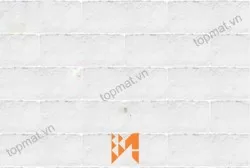Gạch Vĩnh Cửu giả cổ trắng VC13