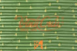 Gạch Vĩnh Cửu tre xanh VC27