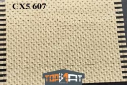 Gạch trang trí Việt Nhật CX5 607