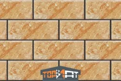 Gạch trang trí Việt Nhật DTT 667