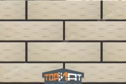 Gạch trang trí Việt Nhật ACB 20