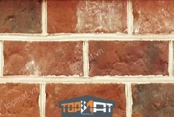 Gạch cổ ốp tường AT81