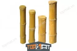 Gốc cây tre vàng Vĩnh Cửu