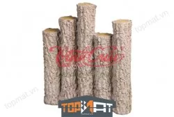 Gốc cụm cây me Vĩnh Cửu