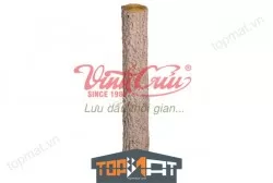 Gốc cây me Vĩnh Cửu