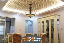 Tấm ốp tường 3D DP2007