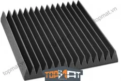 Mút gai luống tán âm đen