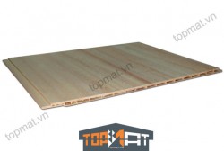 Gỗ ốp tường composite Biowood WPI24006